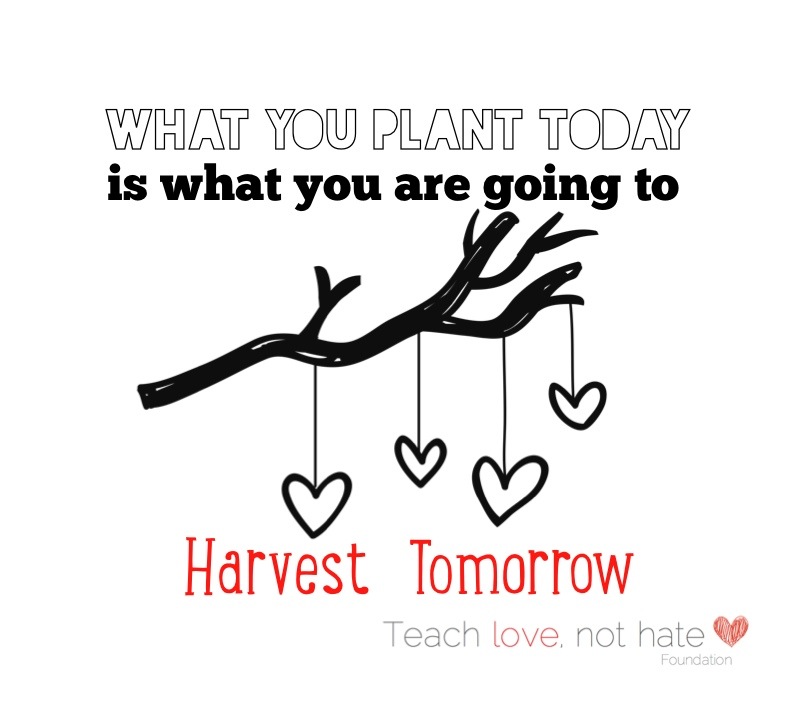 Make sure you plant love and good-will in other people today! You as ...